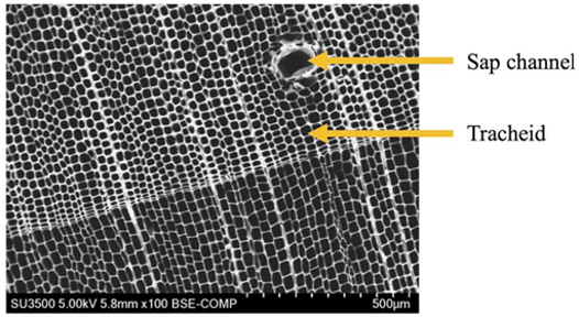 biochar_pic1.png